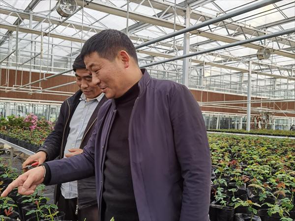 諸新良和農(nóng)戶一起研究花木種植技術(shù)。受訪者供圖