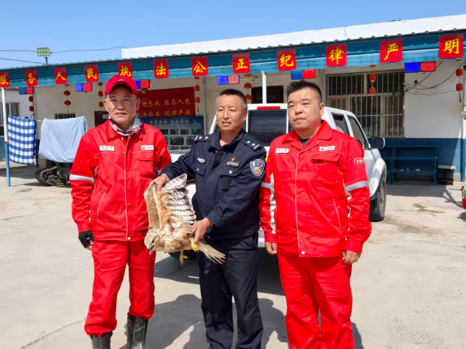 沙漠深處硬核聯(lián)動 跨越300公里的生態(tài)保護(hù)接力