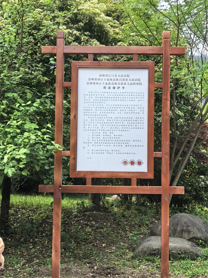 司法保護令.jpg