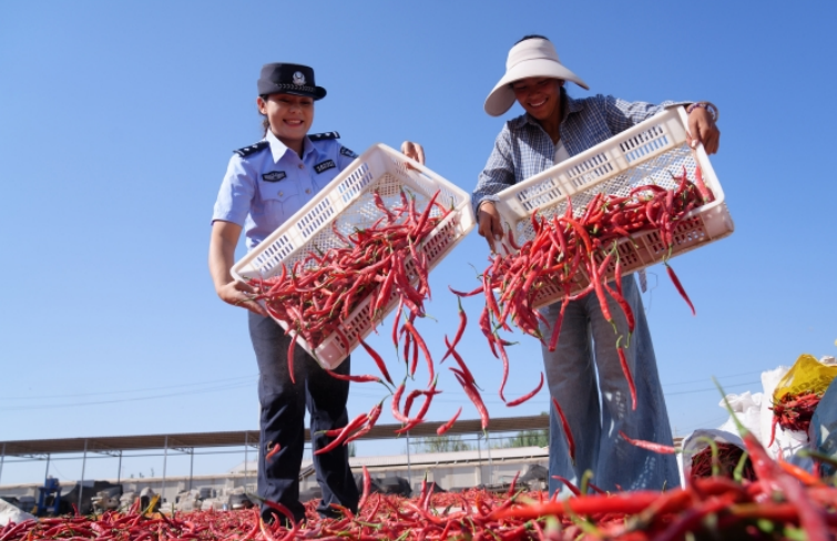 民警幫助農戶曬辣椒