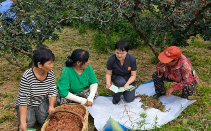 法院干警深入轄區(qū)農田向農戶宣講農業(yè)生產相關法律知識
